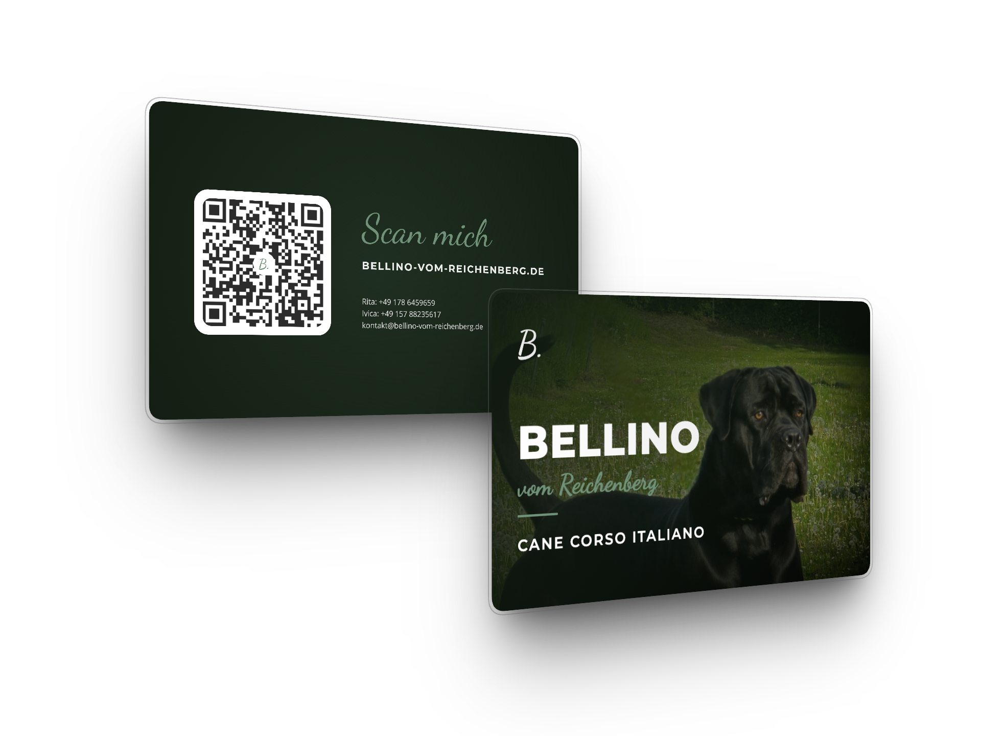 Bellino Visitenkarten Mockup