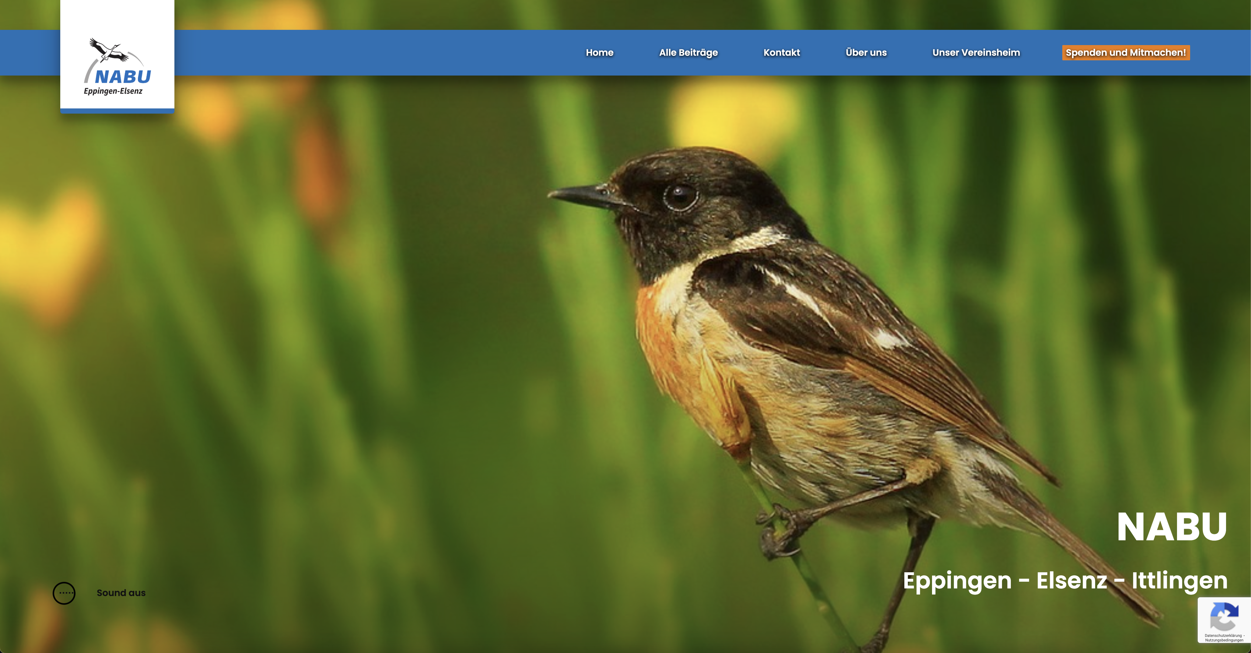 Nabu Website Startseite